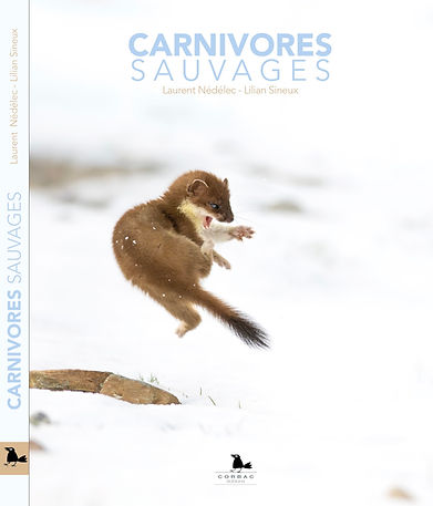 livre carnivores sauvages laurent nédélec lilian sineux corbacé éditions