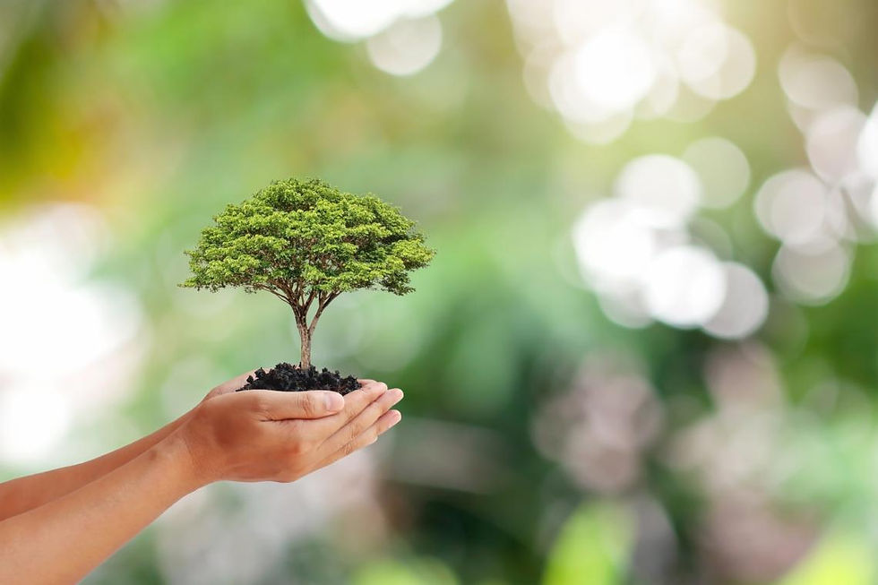 Environmental Protection.jpeg