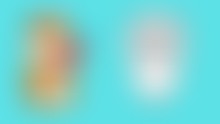 Die SIS - Themenfeld 4 richtig ausfüllen und der Katz - Index