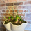 Thumbnail: Hyacinth Planter
