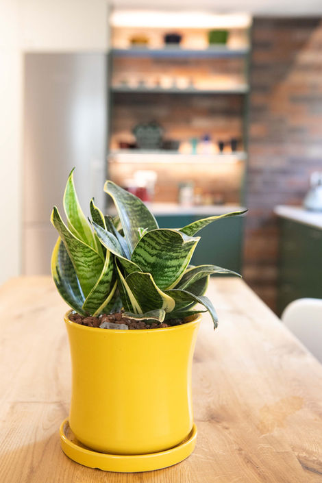 עיצוב פנים מודרני לדירת גן בגבעתיים, עם גינה קסומה וחומרים מאיטליה.