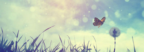 The Miracle