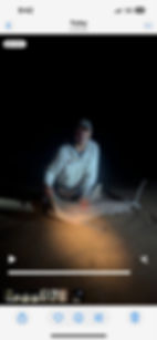 58d6683e-e652-4dbc-a99c-9834ba04657b