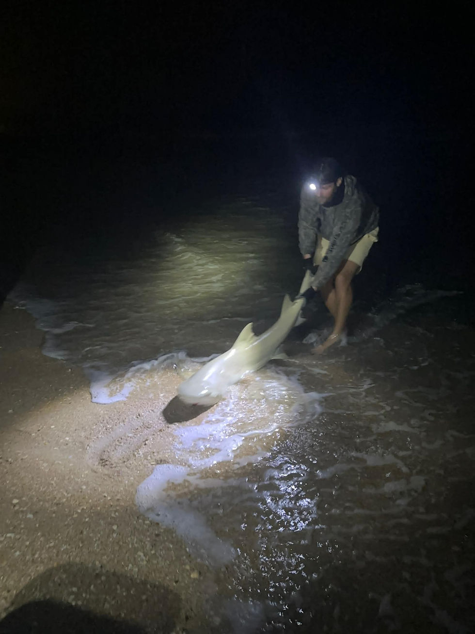 79653c94-63ed-4f5c-94bc-7f46d4ce834d