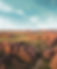 Bungle Bungles - High Res Image.jpg