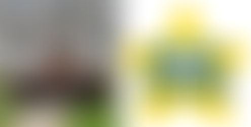 Rock Choir coming to Armed Forces Day