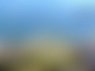 Important Event Information