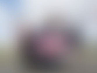 Veterans’ Village returns to Plymouth Armed Forces Day