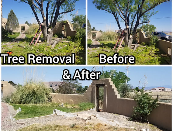 CollageMaker_20200216_215907697 (1).jpg