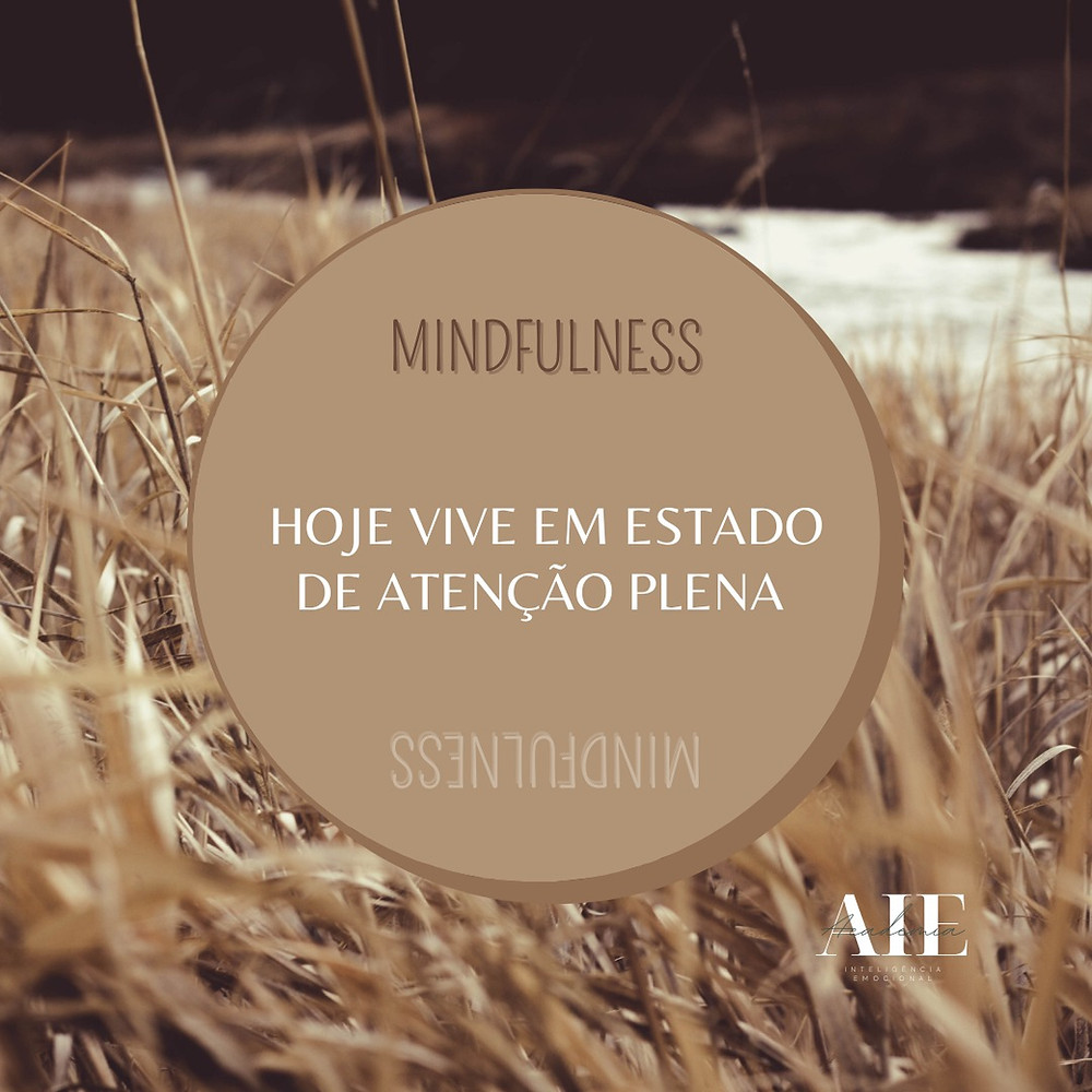 Atenção plena é estar atento. Atento às tuas sensações físicas, pensamentos e emoções. É identificares, com aceitação e sem julgamento, os momentos como agradáveis ou desagradáveis.