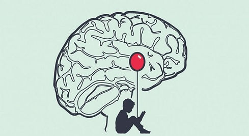 amigdala-cerebral-768x419.jpg