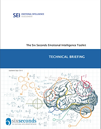 SEI Technical briefing.png