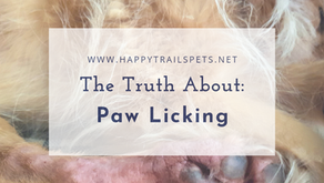 Why Do Dogs Lick and Chew at Their Paws? The Truth is: It's Not Just Allergies!