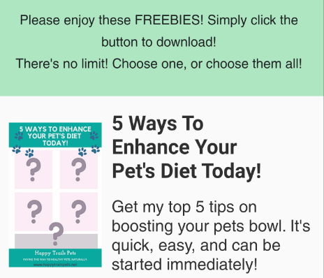 best kibble toppers raw food diet for dogs and cats guide