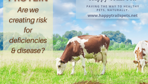 Plant vs. Animal Protein: Are We Creating A Risk For Deficiencies And Disease?