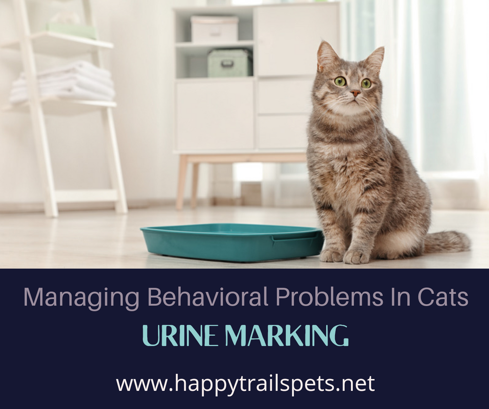 Managing Behavioral Problems in Cats Urine Marking
