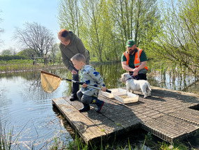 Ponding Dipping in Sleaford