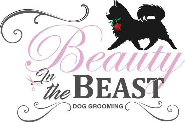 beauty and the beast grooming
