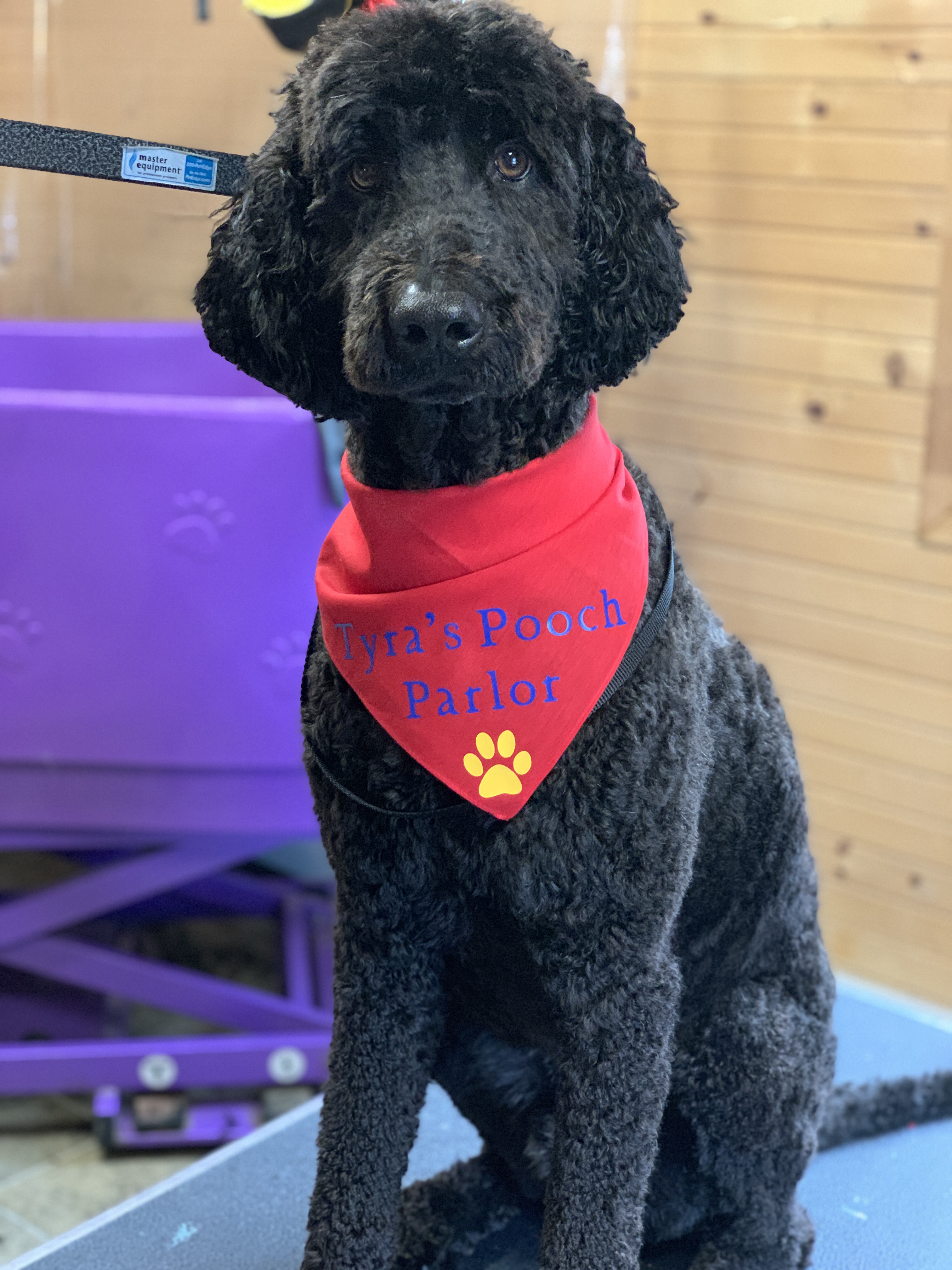 Pooch Parlor & Pet Shop