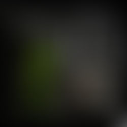 Jante Alu Bi-ton vs Monochrome : Quelle Différence et Comment Choisir ? | Réparation Jante Alu en Région PACA