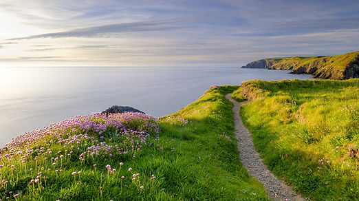 Pembrokeshire coast path.jpeg
