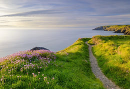 Pemb coastal path.jpeg