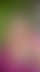 Capturing Noor’s Three-Day Pakistani Wedding: A Beautiful Cultural Event in Irvine.