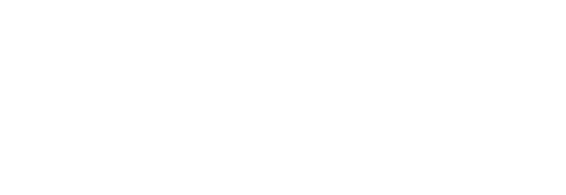 Hot-Chip-Logo+Text(RGB)-12.png