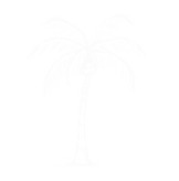 sketchy, simple, palm tree
