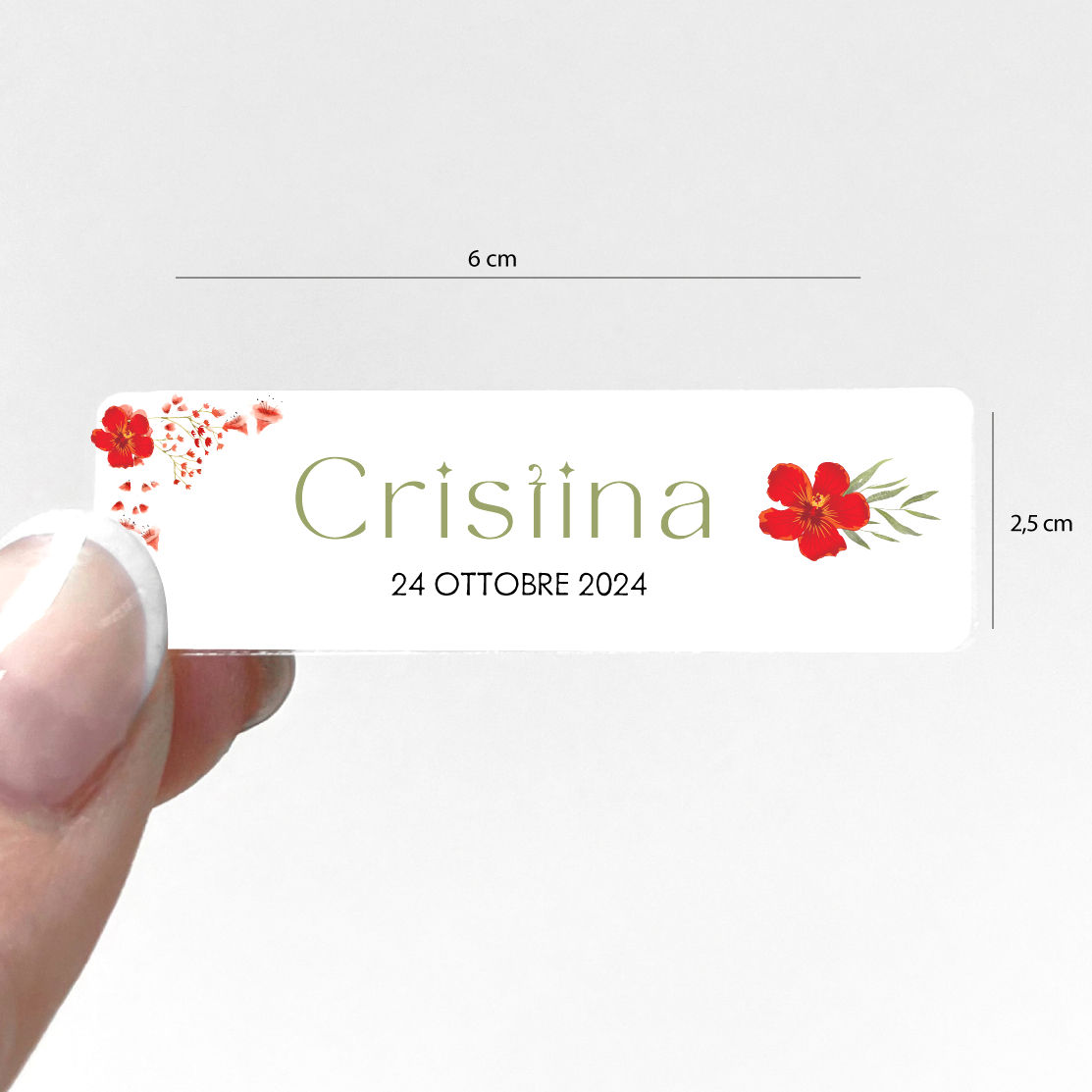 25 Etichette autoadesive 2,5 x 6 cm