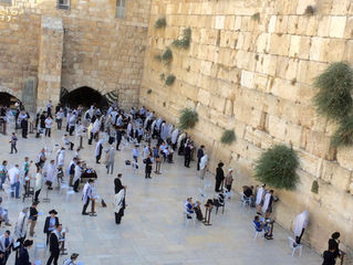 WHAT IS THE MYSTERY BEHIND THE TEAR?