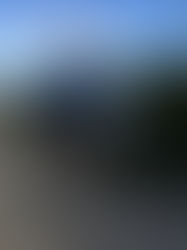 THE LOCALS ARE ON GUARD