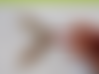 MIDWEEK MYSTERY OBJECT