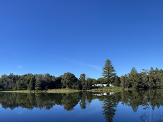 REFLECTIONS