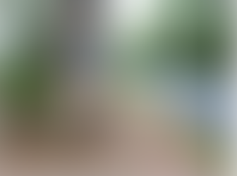 How Old Was the Bum Tree?