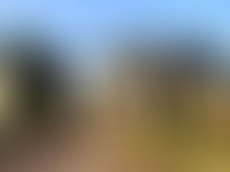 THE ANSWER - YESTERDAY'S MIDWEEK MYSTERY QUESTION