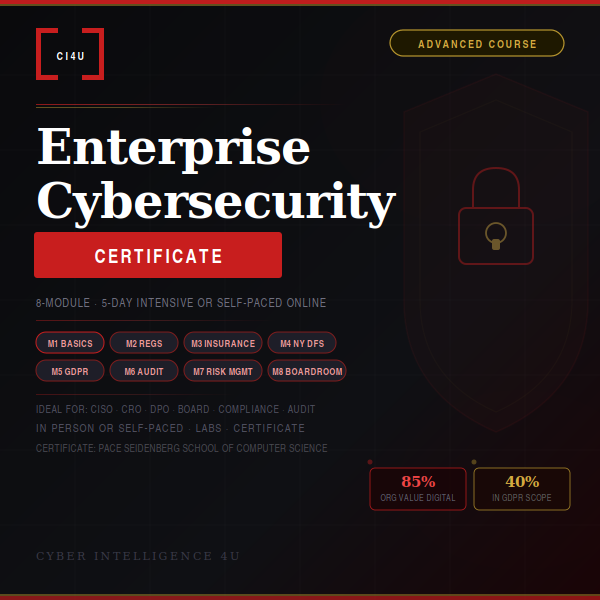 Enterprise Cybersecurity in Digital Business Advanced