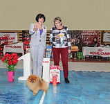 IMG_3999 0.jpg