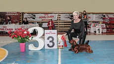 IMG_3994 0.jpg
