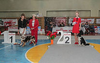 IMG_3957 0.jpg