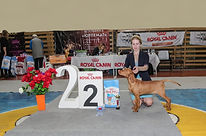 IMG_4022 0.jpg