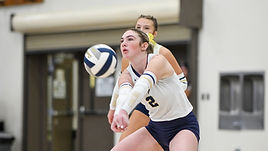 Stat Hound placeholder