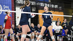 Stat Hound placeholder