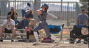 Stat Hound placeholder