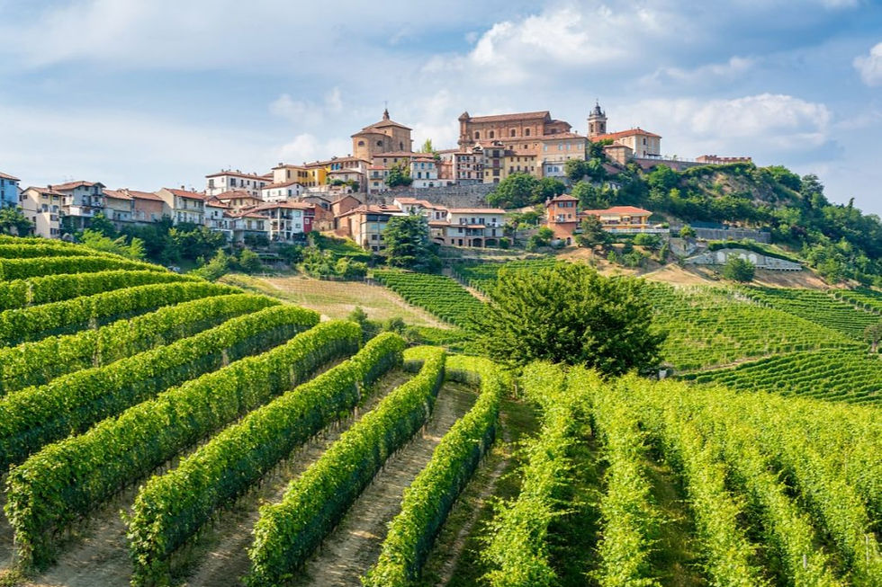 La-Morra-Langhe-Roero-e-Monferrato-iStock-1347540656-min-1080x720 (1)_edited.jpg