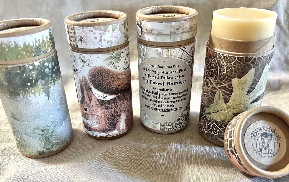 The Forest Rambler Tallow Lotion Stick