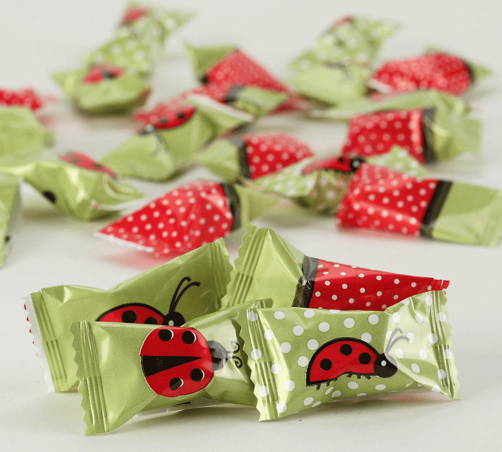 lady_bug_wrapper
