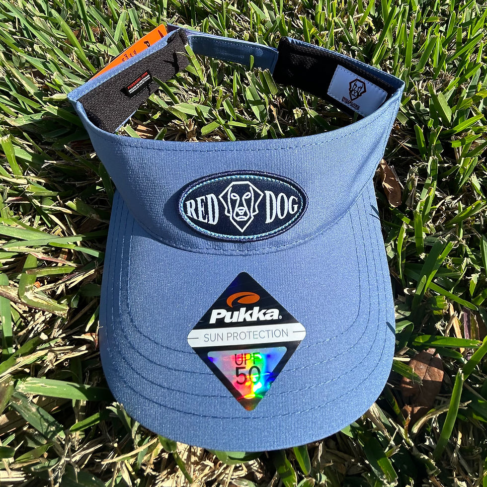 Thumbnail: Vintage Red Dog Patch Visor