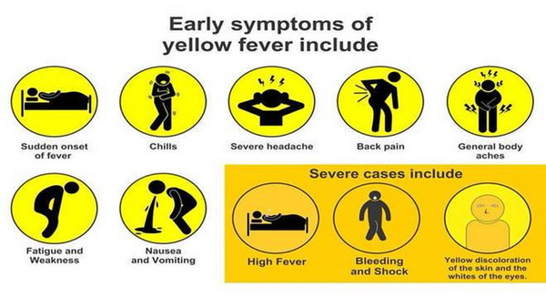 Vacuna Fiebre Amarilla Monterrey