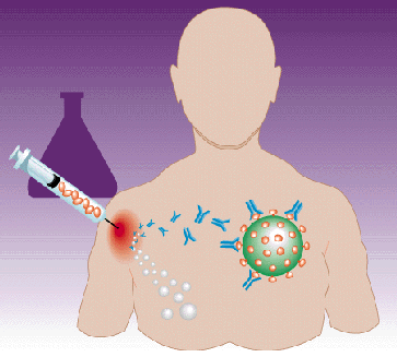 making_vaccines.gif